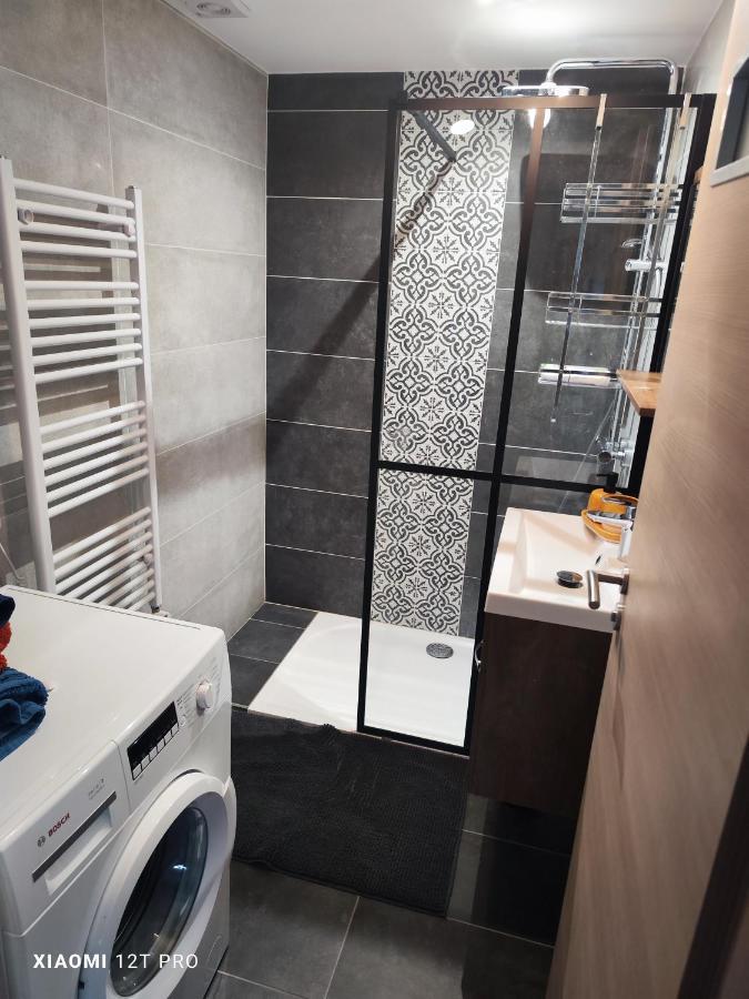 Appartement Renovee Dans Maison Ancienne Amancy Dış mekan fotoğraf